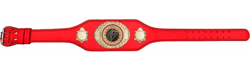 WRESTLING CHAMPIONSHIP BELT-BUD295/G/WRESTGEMG-4 COLOURS